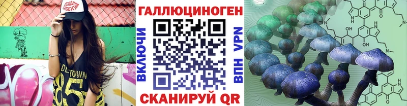 Псилоцибиновые грибы Magic Shrooms  Ессентукская 